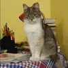 Отзыв от Наиля Кузьмина